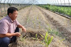 韩国去年逾9成新增职位是农民，其中过半人无薪水