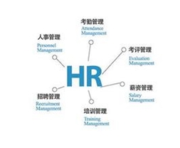HR有哪些发展头衔