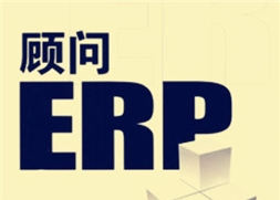 ERP实施顾问